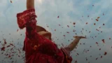 Videocorso Completo in 8 Settimane